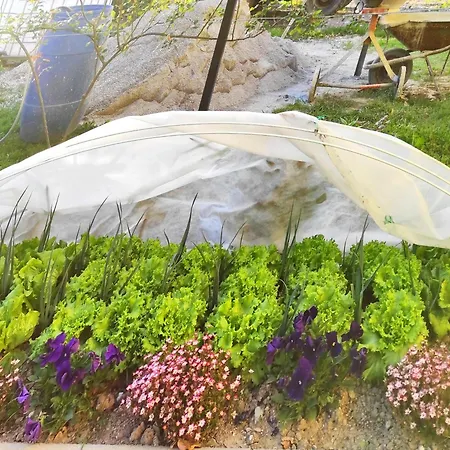 Apartamento Apartma Jermol