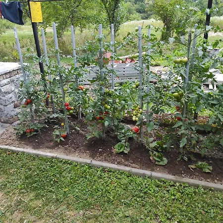 Apartma Jermol Apartment