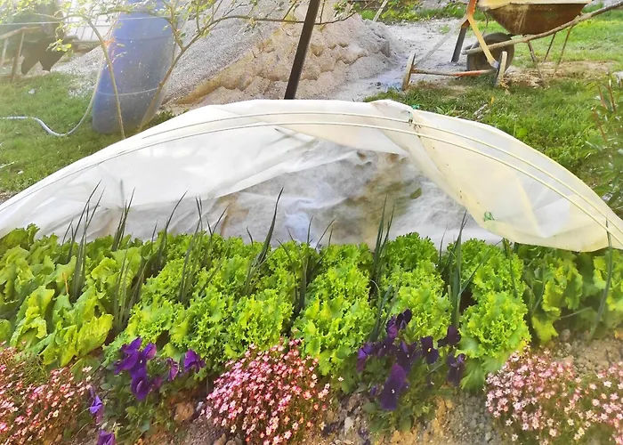 Appartamento Apartma Jermol