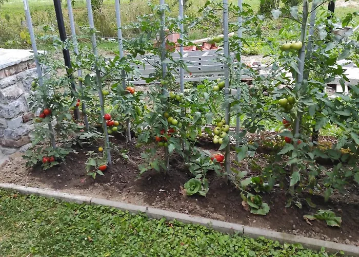 Apartma Jermol Appartamento